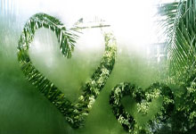 哪里能找到2019男篮世界杯回放完整版？赛事亮点与观看指南